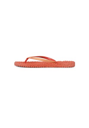 CHEERFUL01 - Pool shoes - indian red