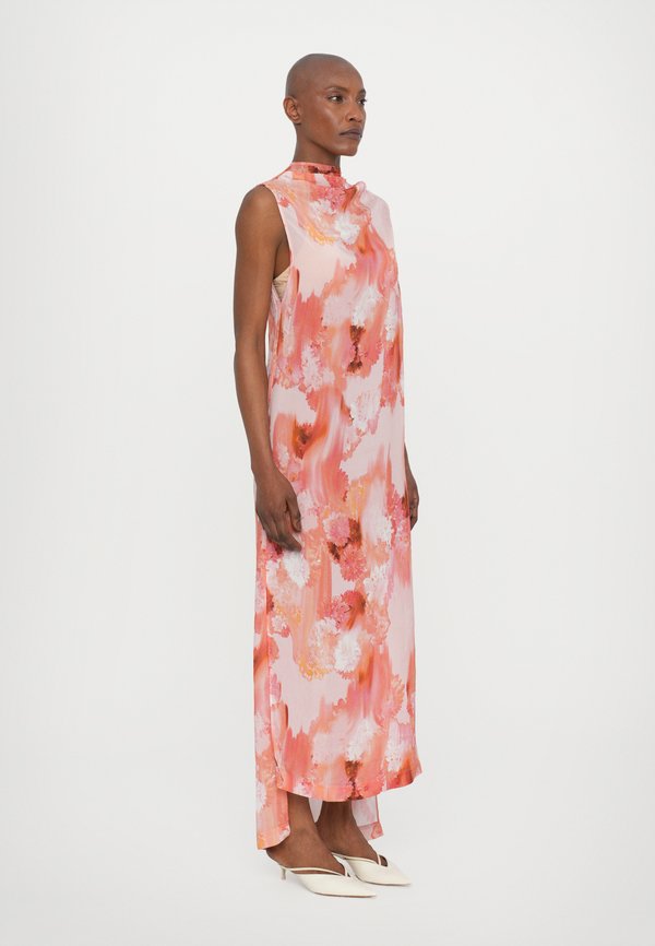 ALANA BLURRY - Maxi dress2