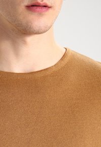 Brązowy sweter na drutach z okrągłym dekoltem, teksturowaną tkaniną i prążkowanym wykończeniem. Skupienie na kołnierzu i obszarze ramion.