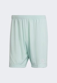 Licht mintgroene sportshorts met een elastische tailleband, subtiele glans en wit Adidas-logo aan de onderrand. Zachte, lichte stof.