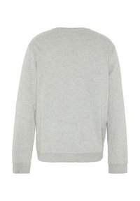 Light grey sweatshirt with long sleeves, round neckline, ribbed cuffs, and a plain texture, featuring a relaxed-fit design and no visible logos.