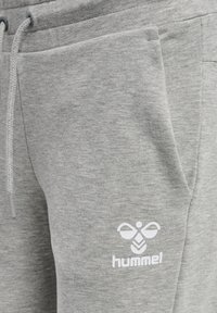 Los pantalones de chándal de algodón de color gris claro cuentan con una cintura con cordón, bolsillos laterales y un logo blanco en el muslo. Textura suave, diseño casual.