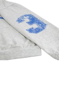 Felpa grigia in morbido tessuto, con un design del numero blu "3" sulla manica. Orlo e polsini a costine, vestibilità casual.