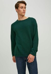 Jack & Jones - JJEHILL CREW NECK NOOS - Neule - pine grove Pienoiskuva 1