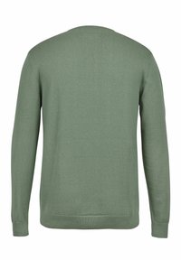 U.S. Polo Assn. UMADAIR - Džemperis - sea spray