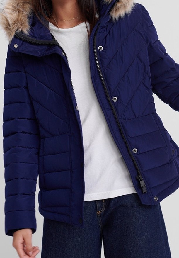 Superdry & Co Vinterjakker - dark blue