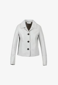 Nije odabrano, light grey