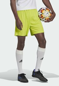 adidas Performance ENTRADA 22 - Korte broeken - yellow