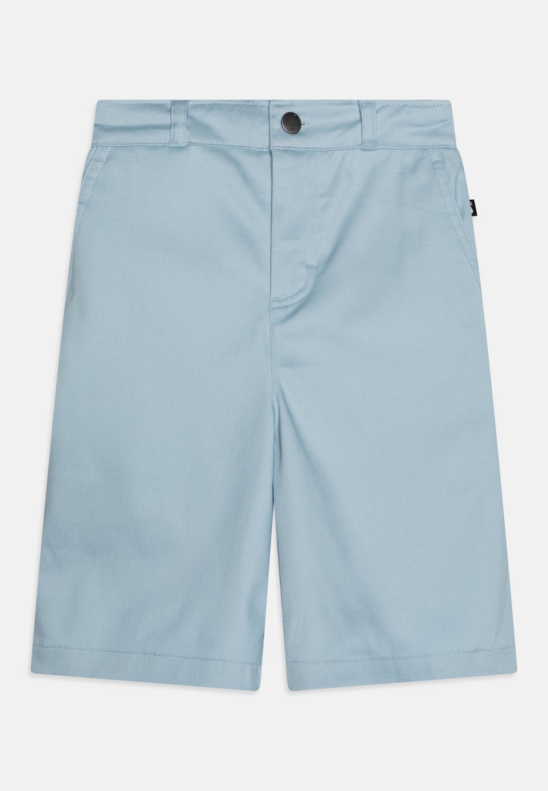 Nike SB Shorts blauw