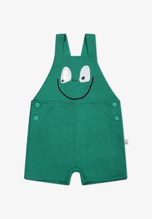 Groene katoenen tuinbroek met een grafisch ontwerp van een kikkergezicht, grote witte ogen en een glimlachende mond. Twee zijknopen en zakken inbegrepen.