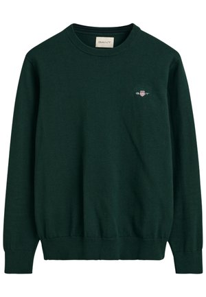 Grüner Baumwollpullover mit Rundhalsausschnitt, gerippten Bündchen und kleinem Logo auf der Brust. Verfügt über eine glatte Textur und ein einfaches Design.