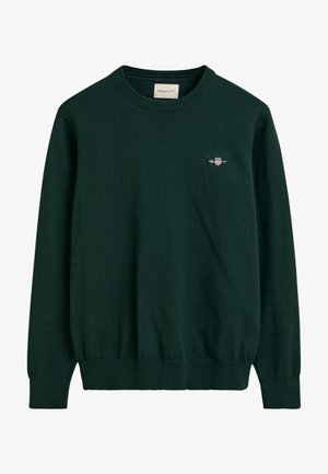 Grüner Baumwollpullover mit Rundhalsausschnitt, gerippten Bündchen und kleinem Logo auf der Brust. Verfügt über eine glatte Textur und ein einfaches Design.