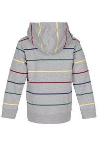 Sudadera con capucha gris con rayas horizontales multicolores en rojo, azul, verde y amarillo. Presenta puños y dobladillo de canalé.