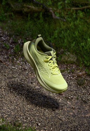 PEREGRINE 15 - Chaussures de running - sunny/hemlock