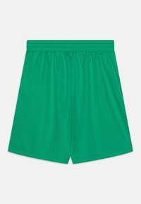 Grüne Sportshorts aus glattem, leichtem Material. Mit elastischem Bund und einem schlichten, minimalistischen Design.