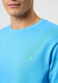 Sudadera de algodón azul claro con cuello redondo, que presenta un sutil logo bordado en el pecho, textura suave y ajuste clásico.