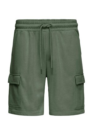 Blend, BHKARLOS SWEAT CARGO - Παντελόνι φόρμας - duck green