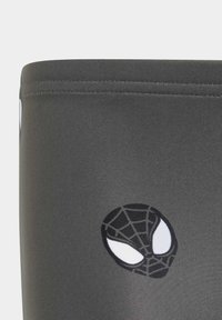 Costume da bagno grigio scuro con una trama morbida e liscia. Presenta un'icona di ragno nera con occhi bianchi e un motivo a ragnatela. Bordo cucito.