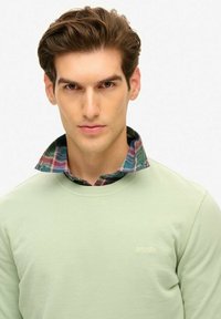 Lichtgroene sweatshirts met ronde hals; daaronder een geruite blouse met blauwe, groene en rode accenten; logo weergegeven op de borst.