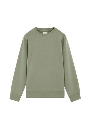 Sudadera sencilla de color verde claro con cuello redondo, mangas largas y puños y bajo acanalados, mostrada sobre fondo blanco.