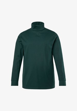 Tummanvihreä poolopaita, joka on valmistettu pehmeästä puuvillasta; siinä on pitkät hihat ja tiukka muotoilu, jossa on ribattua kaulaa. Sujuva pinta.