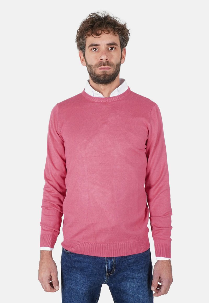 Maglione rosa chiaro a maglia con collo rotondo e maniche lunghe, abbinato a jeans di denim blu. Tessuto liscio, design aderente.