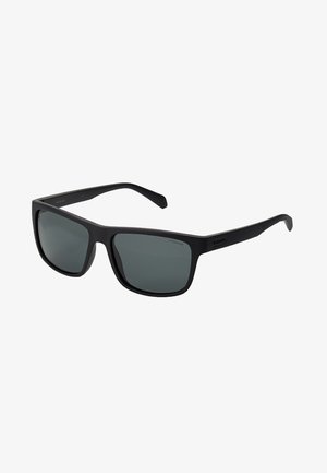 Polaroid Sunglasses - matt black