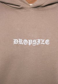 Dropsize HEAVY CRIME  - Sweat à capuche - silvermink
