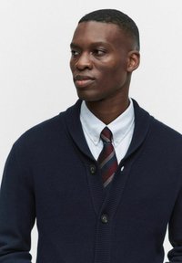 Marinblå stickad kofta med sjalkrage, enspärrslutning, bärs över en ljusblå randig skjorta och ett mönstrat fluga. Slät textur.