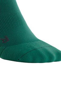 CEP REFLECTIVE COMPRESSION - Calzettoni - green