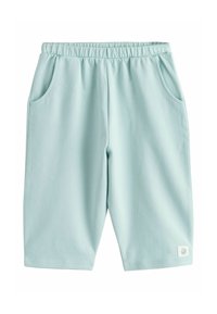 Heledad mintrohelised lühikesed püksid, mis on valmistatud pehmest kangast, varustatud elastse vöörihma, kahe küljetasku ja väikese logomärgiga ääre peal.