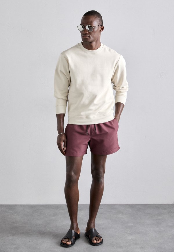 EMERSON - Sweatshirt - birch bark3