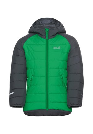 NEW ZENON - Veste de ski - mystic green