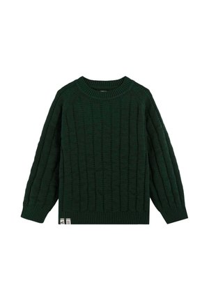 RANGLAN - Jersey de punto - green