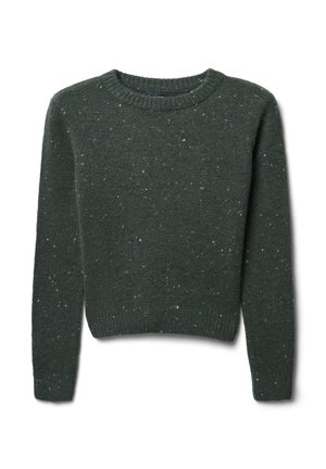 Dunkelgrüner Strickpullover mit Rundhalsausschnitt, langen Ärmeln und einer gesprenkelten Textur, die helle und dunkle Flecken aufweist.