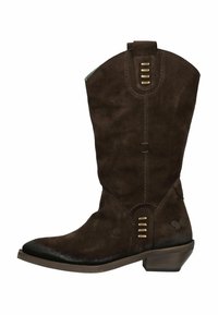 Bruine suede cowboylaarzen met een puntige neus, een middelhoge hak, decoratieve stiksel en drie metalen accenten op de schacht.