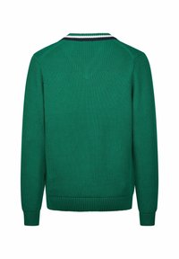 Grüner gestrickter Pullover mit gerippter Textur. Verfügt über einen ripsblauen und weißen gestreiften Rundhalsausschnitt. Lange Ärmel mit gerippten Bündchen und Saum.