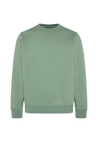 Light green sweatshirt with a crew neckline, long sleeves, ribbed cuffs, and a smooth texture. Simple design with no patterns or accents.