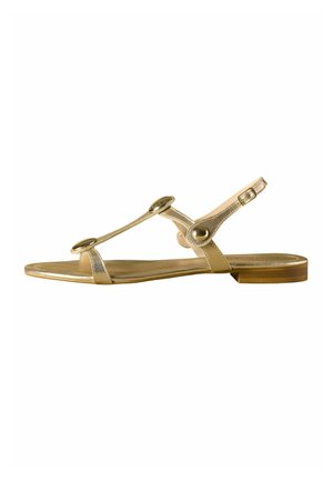 Goldene flache Sandale mit dünnen Riemen, runden metallischen Knöpfen und einer verstellbaren Schnalle am Knöchel auf weißem Hintergrund.
