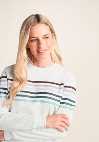Light gray sweatshirt featuring horizontal stripes in varying shades of blue, purple, and brown. Soft texture with a classic crew neckline.