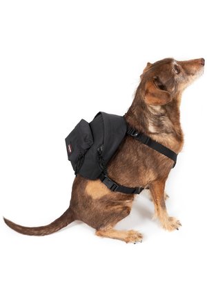 Eastpak, DOG PAK'R - Akcesoria dla zwierząt