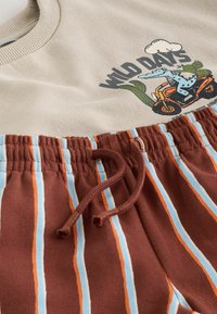 Smėlio spalvos džemperis su užrašu „Wild Days“ ir mėlynu dinozauru ant oranžinės paspirtuko, derinamas su kailiuko, oranžinės ir mėlynos spalvos dryžuotomis kelnėmis su raišteliais.