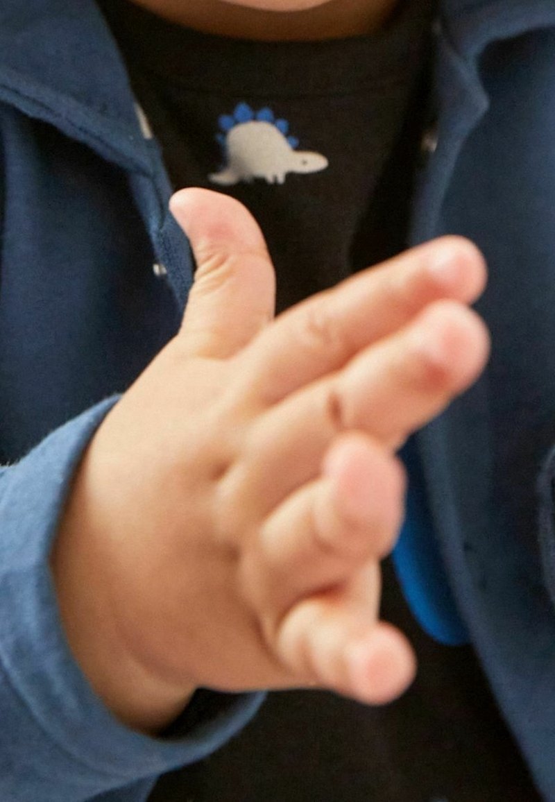 Main d'enfant tendue vers l'avant, portant une chemise foncée avec un petit motif de stégosaure et une veste bleue.
