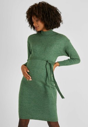 TURTLE NECK MATERNITY - REGULAR FIT - Jumper dress - green
