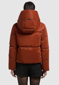 Rūdžių spalvos pūkinė striukė su aukštu apykakliu, siuvinėta danga ir dideliu gobtuvu. Vandeniui atspari medžiaga su lygiu paviršiumi.