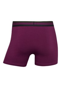 Boxer briefs viola in tessuto morbido, con una cintura elastica a righe nere e viola e una superficie liscia.