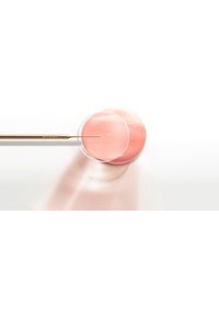 L'Oréal Paris CREMA VISO GIORNO AGE PERFECT GOLDEN AGE, TRATTAMENTO FORTIFICANTE, ADATTO A PELLI MATURE, 50 ML - Crema da giorno - none