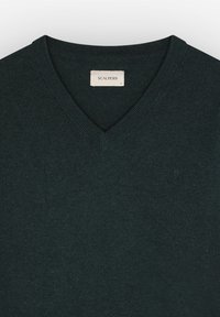 Pulover verde închis cu decolteu în V, fabricat dintr-un material moale; dispune de un guler rib elastic și un mic logo brodat pe partea stângă.