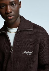 Närbild av en man som bär en mörkbrun stickad zip-up tröja med "Proficient Est. 2001" broderat på bröstet och ett guldkedja-halsband.