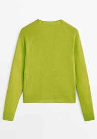 Pull vert à manches longues en maille avec col rond, poignets et ourlet côtelés, visible de dos sur fond blanc.